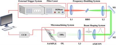 Insight on the regulation mechanism of the nanochannels in hard and brittle materials induced by sparially shaped femtosecond laser